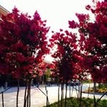 Jean Coffman - @jean.coffman.35 - Instagram