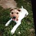Jean Comer - Facebook