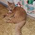 Bonnie Jean Conant - Facebook