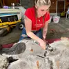 Jeanna Mcconnell - @jeannamcconnell - TikTok