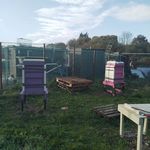 Sally jean Connell-shaw - @connellshaw - Instagram