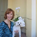 Jean K Cooley - @jeanwroteabook - Instagram