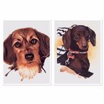 Jean Corriveau - @jeanc.842 - Instagram