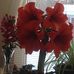 Jean Cotter - Facebook