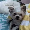 jeannecottrelllin - @jeannecottrelllin - TikTok