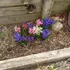 jeannecoulsonyoum - @jeannecoulsonyoum - TikTok