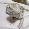 jeanettecraddock3 - @jeanettecraddock3 - TikTok