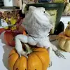 jeanettecraddock - @jeanettecraddock - TikTok