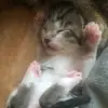 JeanSoCrisp - @jeansocrisp6 - TikTok