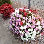 Jean Crossan - Facebook