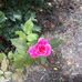 Jean Cusack - Facebook