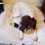 Jean Dale - @jean.dale.794 - Instagram