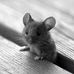 Jean Davy - Facebook