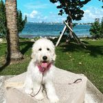 Callie Jean Deaton - @calliejeandoodle - Instagram