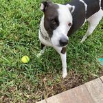 Jean DeLuca - @jean.deluca.73 - Instagram