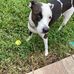 Jean DeLuca - Facebook