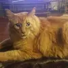 jeandeluca19 - @jeandeluca19 - TikTok
