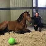Jean Aloi Dempsey - @jean.a.dempsey - Instagram