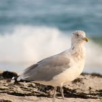 Jean Dempsey - @jeandempseyphotography - Instagram