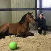 jeanaloidempsey - @jeanaloidempsey - TikTok