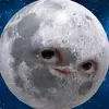 TheMoon - @pheobejeandempsey12 - TikTok