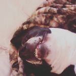 Emma Jean Dennison - @emmajeandennison - Instagram