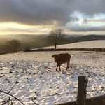 Jean Déprés - @jean_despres - Instagram