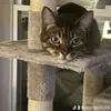 KitGal - @jeandevlin58 - TikTok