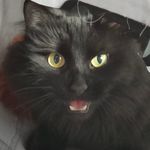 Jean Dewar - @jean.dewar.9 - Instagram