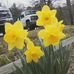 Jean Dill - Facebook