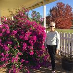 Jean Dillard - @tom.dillard.904 - Instagram
