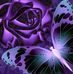 Jean Dodd - Facebook