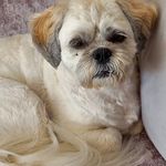 Gloria Jean Dodge - @gdodge47 - Instagram