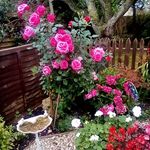 Jean Dodson - @jeandodson46 - Instagram