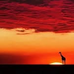 Jean Donato - @jdcop26 - Instagram