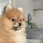 Jean - @jean_dore - Instagram
