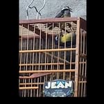 Jean dos sibites - @jean_dos_sibites - Instagram