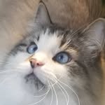 Jean Downey - @jean.downey.712 - Instagram