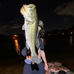 chasing monsters 🎣 - @downsouth.jean - Instagram