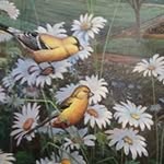 Jean Downs - @jean.downs.376 - Instagram