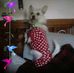 Jean Drewes - Facebook