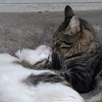 Jean Drewes - @witchy_jean1 - Instagram