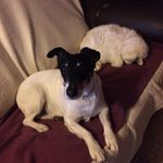 DROUIN JEAN PAUL - @drouinjeanpaul - Instagram