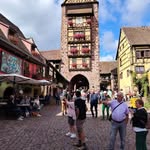 Jean-luc Drouin - @jeanot51 - Instagram