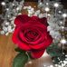 Jean Ducommun - Facebook