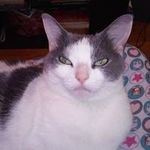 Jean Ann Dugan - @jeananndugan - Instagram