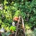 Jean Dugan - Facebook