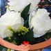 Jean Duran - Facebook