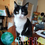 Jean Duret - @jeanduret4 - Instagram