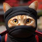 Jean Duroc Morischal - Facebook
